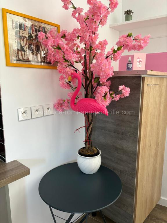 Photo de la Maison Pink Flamingo Aéroport Tillé