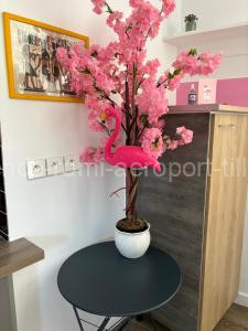 maison pink flamingo aeroport tillé 2 a 4 personnes à Tillé